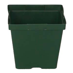 4.50  Square Traditional Thinwall Green 765/case - Square Pots